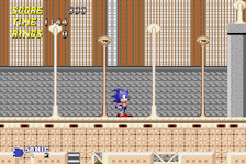 Sonic 1 with Fries