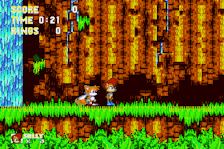 Sonic 3 And Sally Acorn