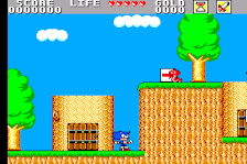 Sonic Boy In Monster Land